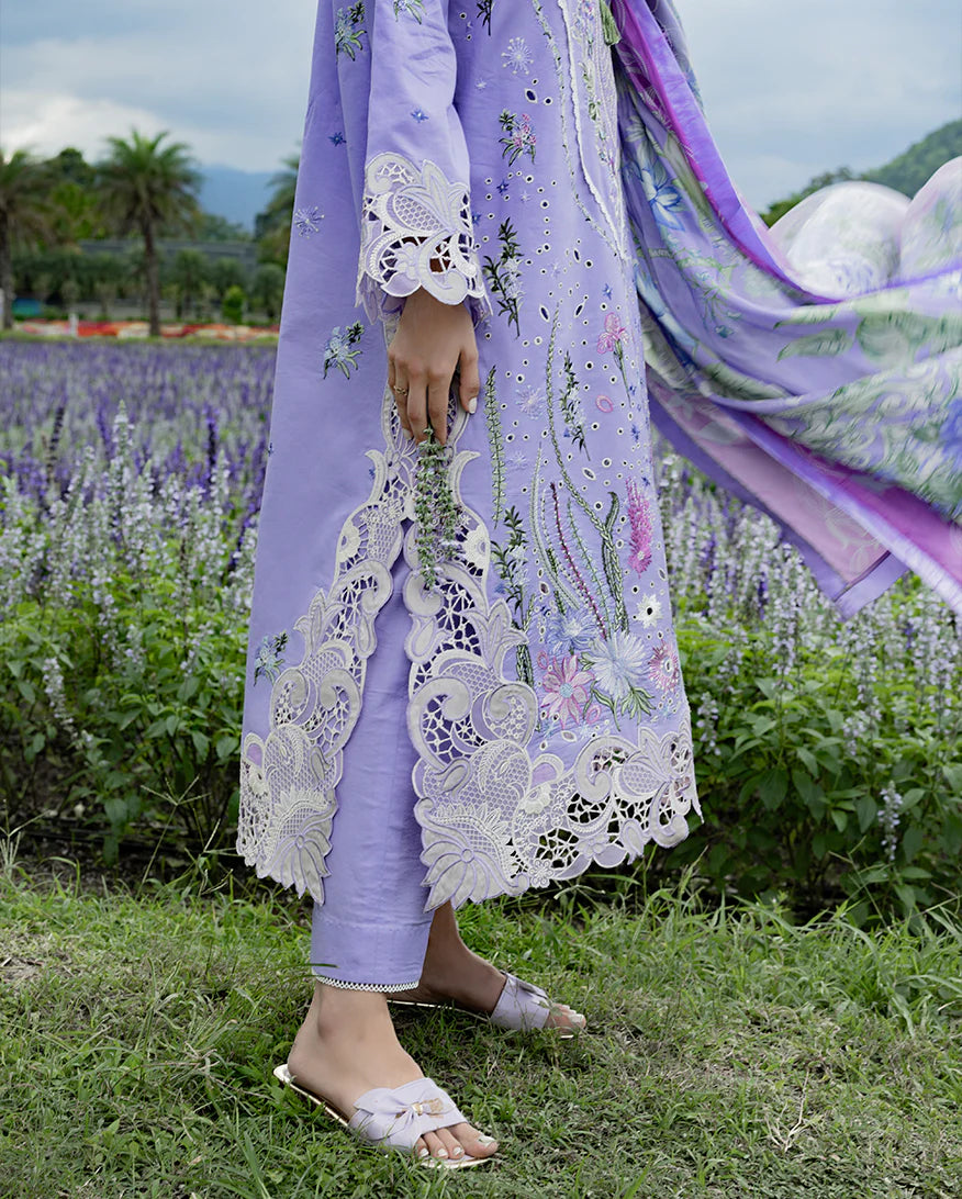 DAISY REVERIE