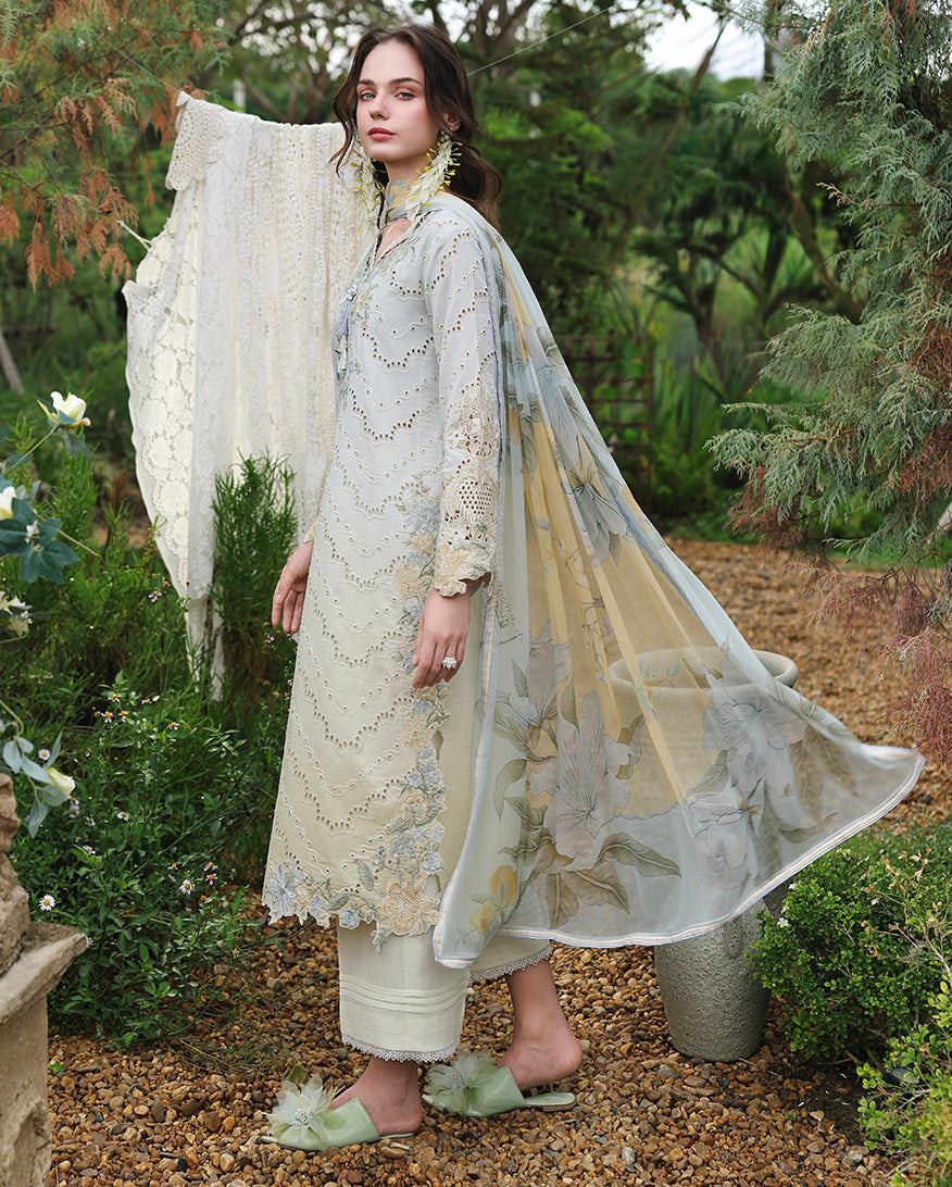 IVORY BOTANICA