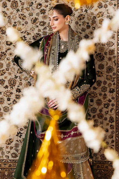 Embroidered Velvet Formal CVF D-09