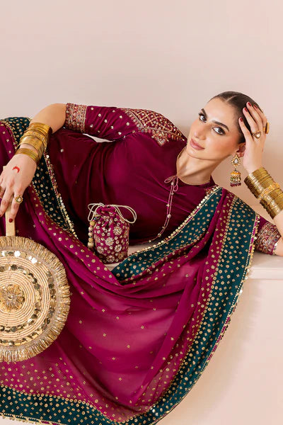 Embroidered Velvet Formal CVF D-02