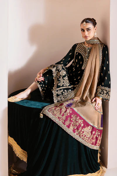 Embroidered Velvet Formal CVF D-01