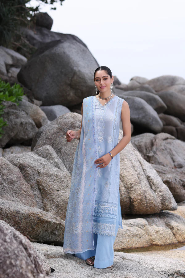 D4 - Serene ice Blue