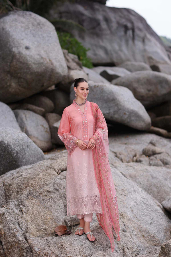 D8 -peach pink Ombre