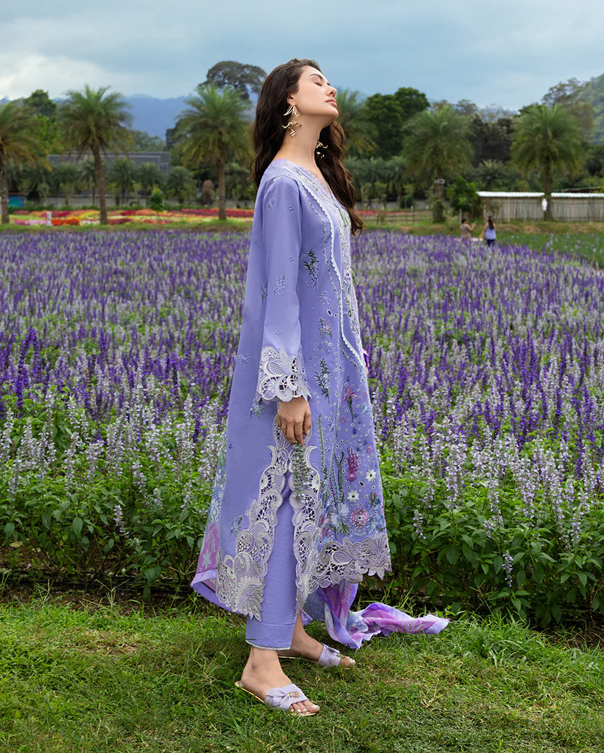 DAISY REVERIE