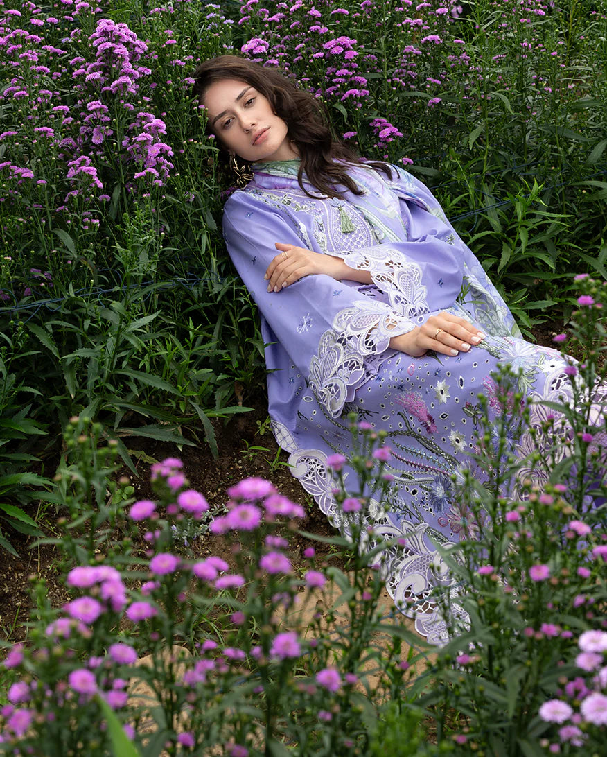 DAISY REVERIE