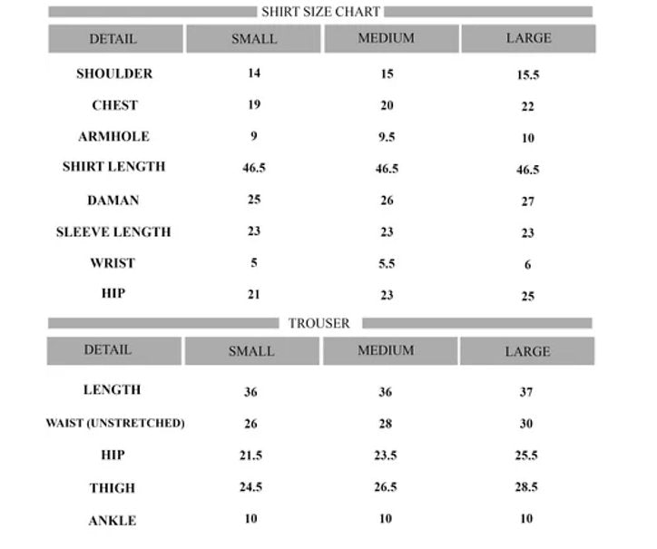 Saira Shakira - Dream in Print